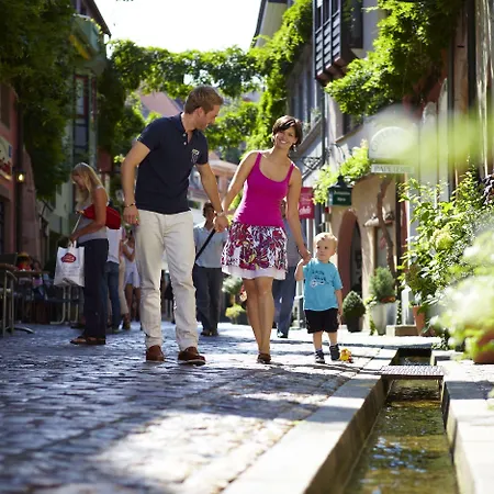 Invite Loewen Hotel Fribourg im Breisgau