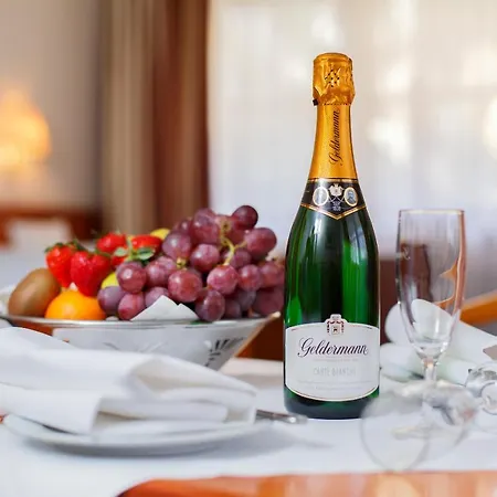 Invite Loewen 4* Freiburg im Breisgau